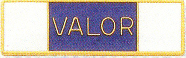 A10808-LS.png