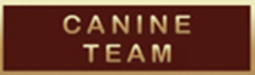 A11177-B.png