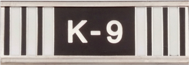 A11317.png