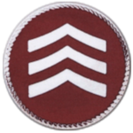 A12520.png