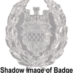 A8163-1.png