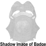 B2646-IN.png