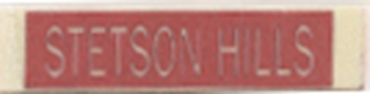 C15133.png