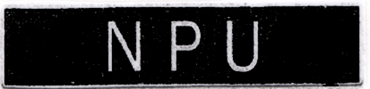 C15134.png