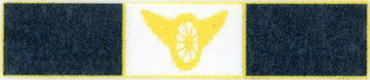 C16166.png