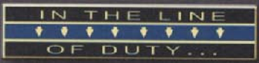 C17245.png