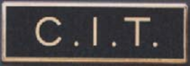 C17349.png