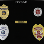 DSP5-C.png