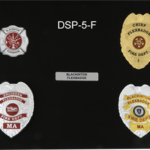 DSP5-F.png