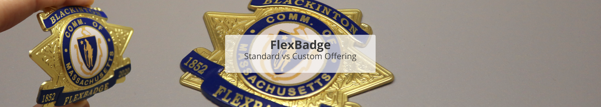 FlexStdvsCus FlexBadge